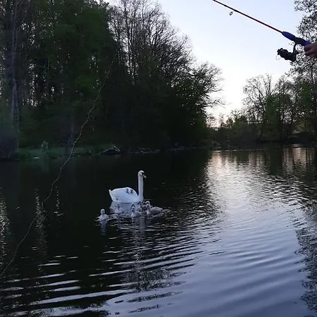 Domek nad Krutynią Dom wakacyjny Piecki (Warmian-Masurian)